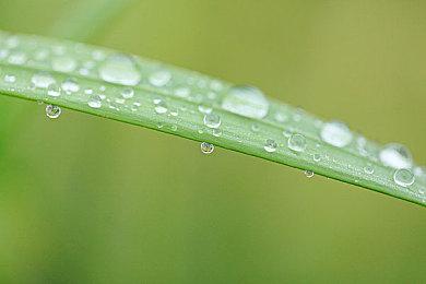 独立游戏新作涉嫌推广儿童赌博而被任天堂下架